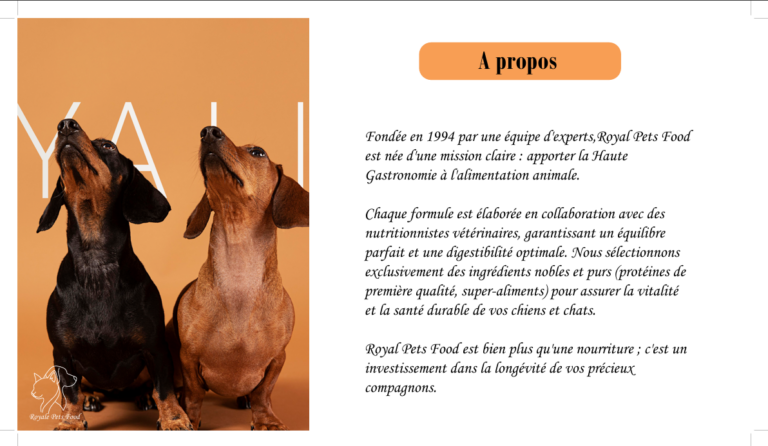 Capture d'écran 2026-02-20 102446