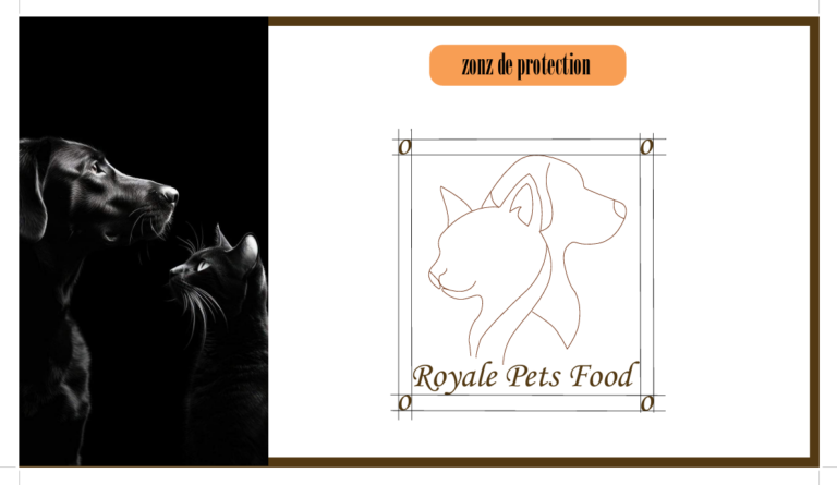 Capture d'écran 2026-02-20 102521