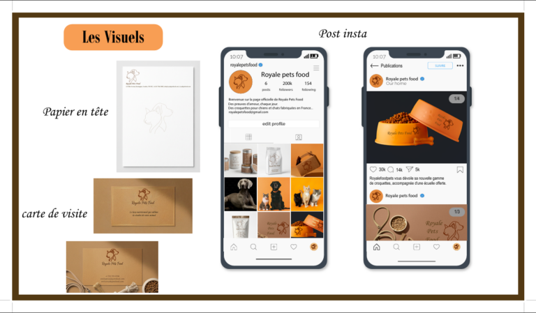 Capture d'écran 2026-02-20 102618