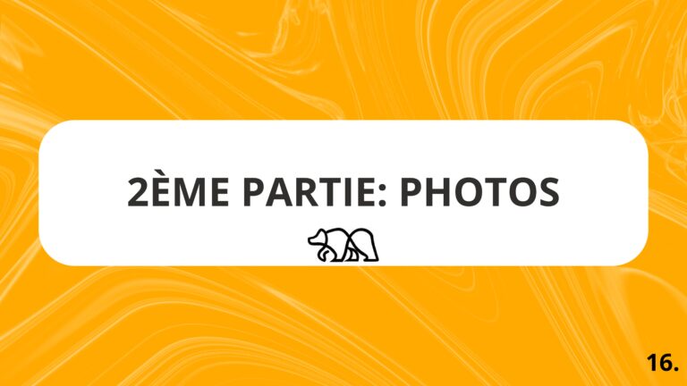 Projet 2 - craft bear-compress├®-images-15