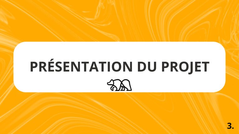 Projet 2 - craft bear-compress├®-images-2