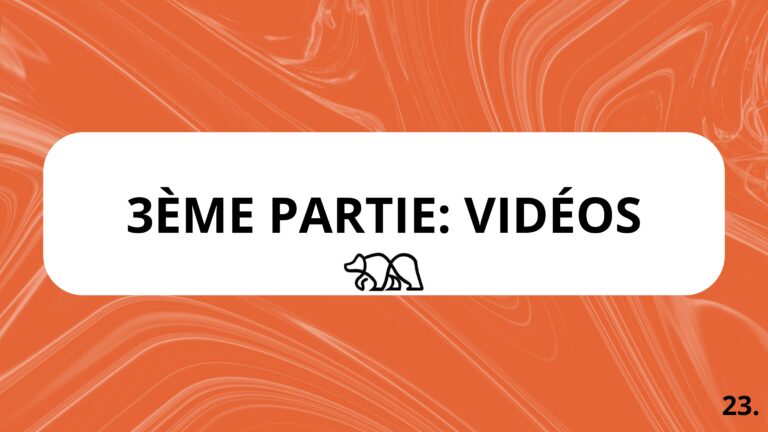 Projet 2 - craft bear-compress├®-images-22